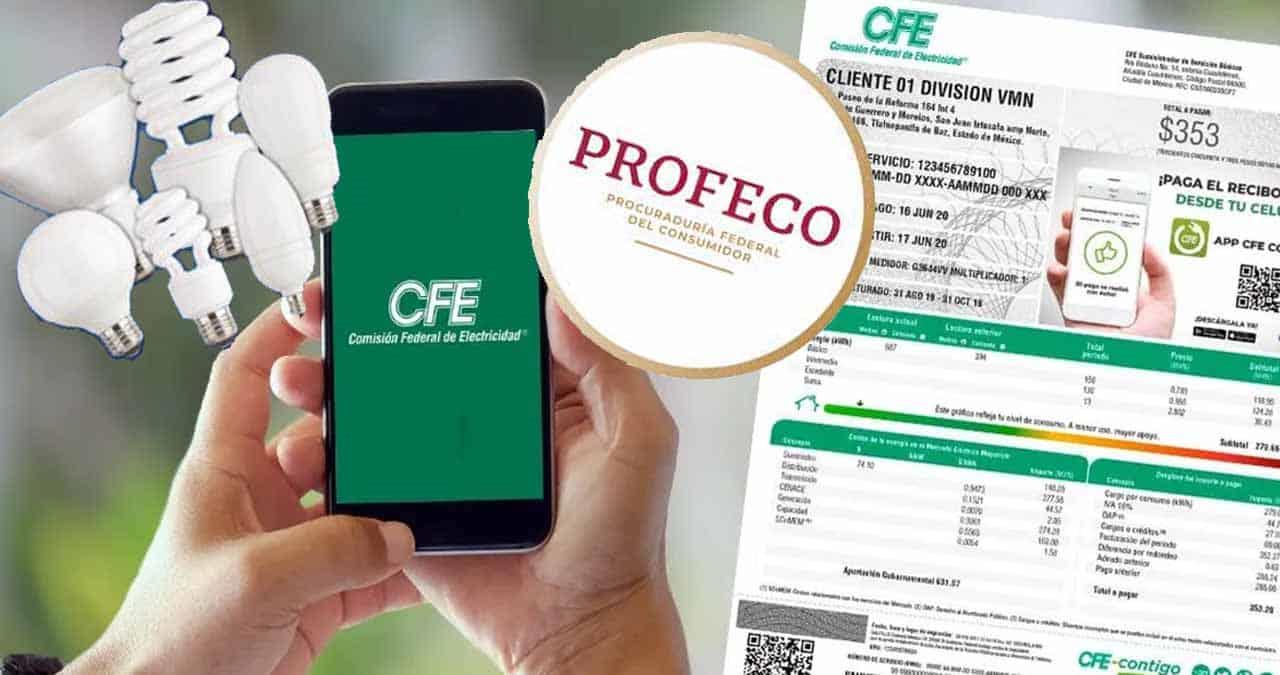 Profeco recomienda estos focos ahorradores para disminuir el recibo de la CFE