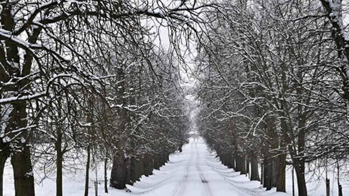 En estos estados del norte habrá caída de nieve y temperaturas bajo cero