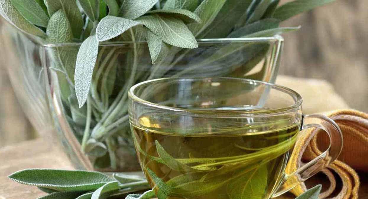 Conoce estos beneficios del té de salvia para la salud, según expertos médicos