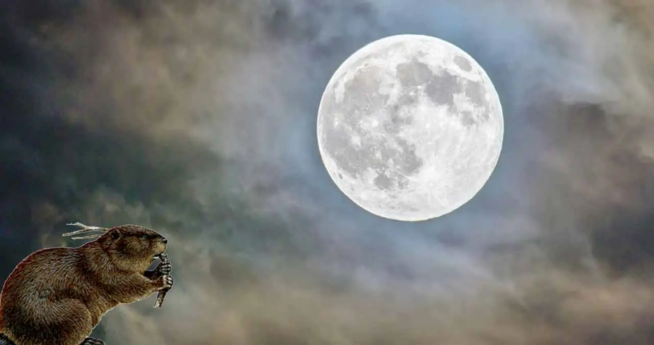 La Fascinante Luna llena de Castor iluminará el cielo mexicano