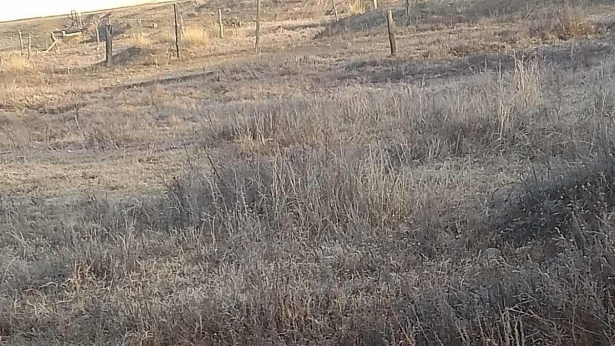 Clima en Sonora: masa de aire del frente frío 14 avanza sobre el estado y bajan las temperaturas