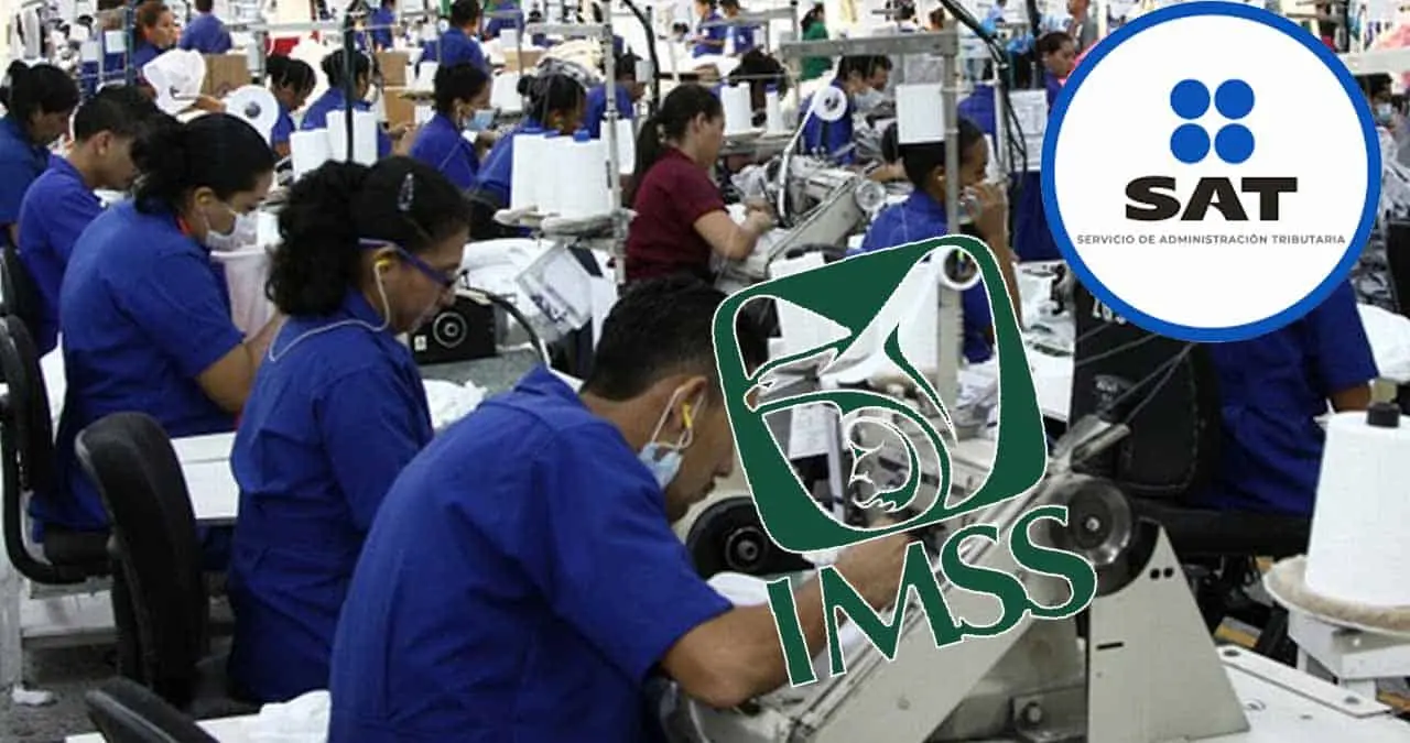 SAT: Beneficios y responsabilidades de la dualidad laboral en México