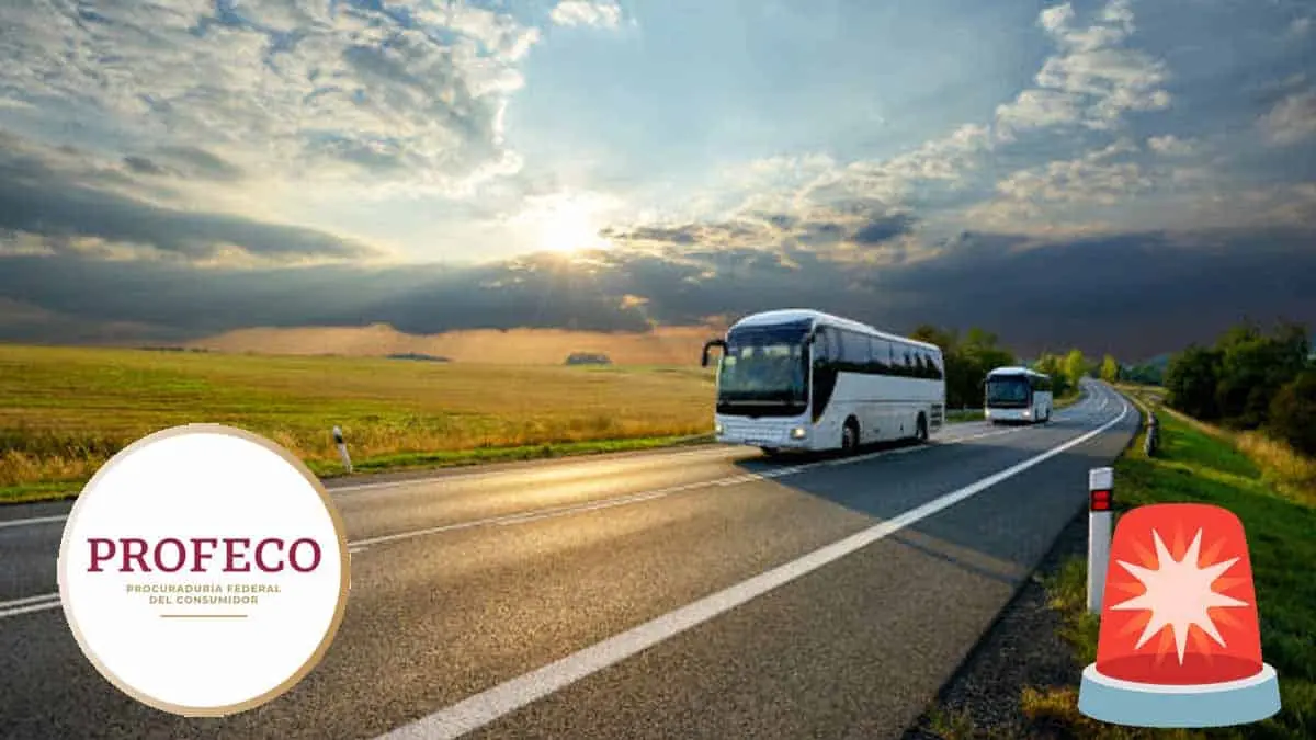 Profeco lanza alerta a quienes viajarán en autobús en estas vacaciones decembrinas