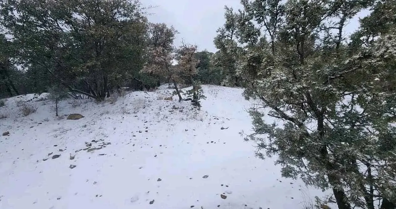 Cae en Sonora primer nevada