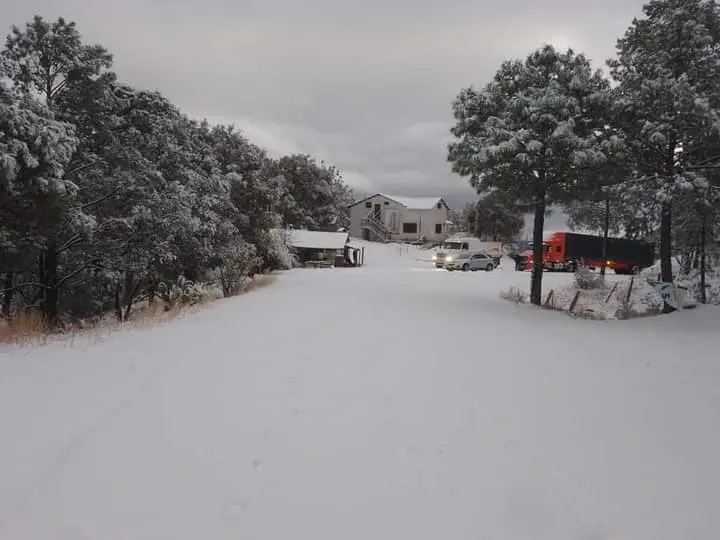 ¡DE ENSUEÑO! Yécora queda bajo la nieve; cierran tramo carretero hacia Hermosillo