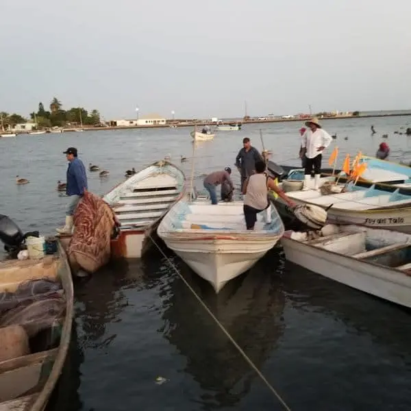 Pescadores del sur de Sonora siguen con problemas; ahora el frío