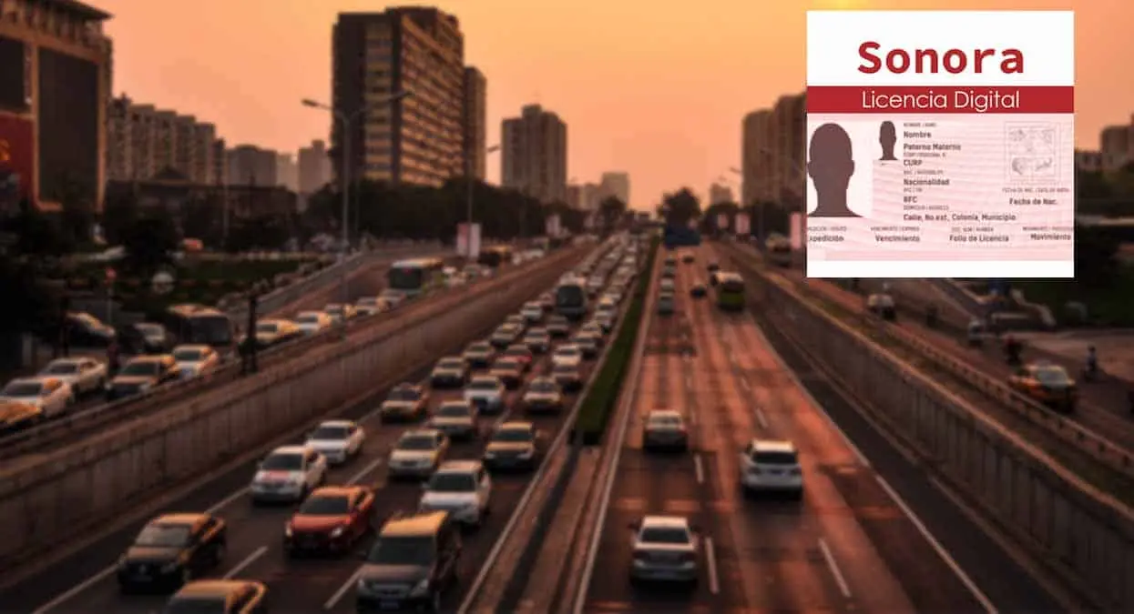 Licencia de manejo permanente 2024, ¿dónde se puede tramitar y cuánto cuesta?