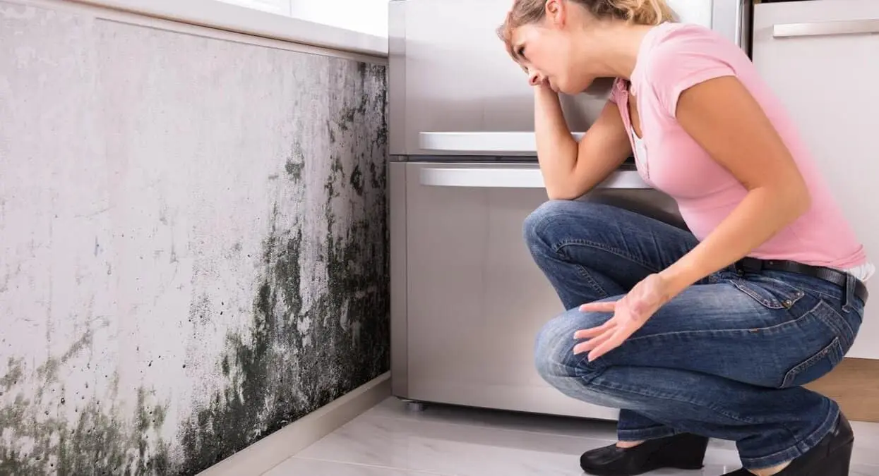 De esta manera puedes limpiar tus paredes blancas sin que se caiga la pintura