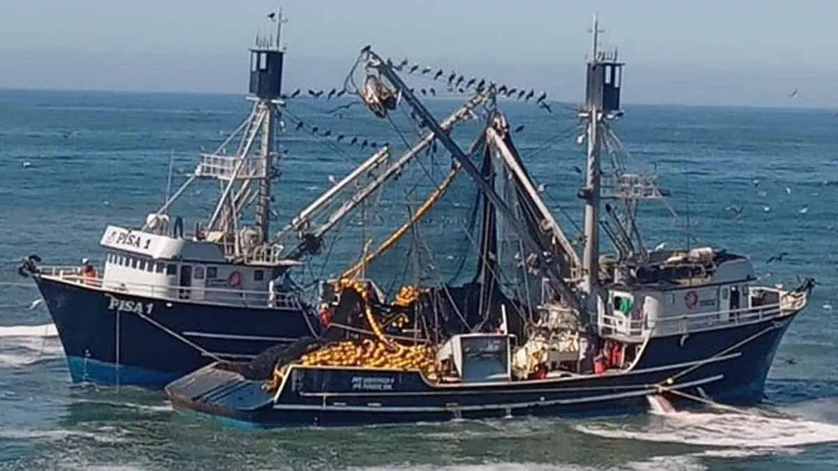 VIDEO | Se hunde buque atunero guaymense frente a las costas de Sinaloa