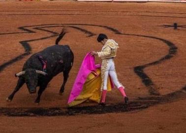 Jueza ordena suspender de nuevo corridas de toros en la Plaza México