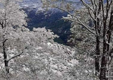 Clima en Sonora: Pronostican quinta tormenta invernal, chubascos y lluvias a partir de hoy en la entidad