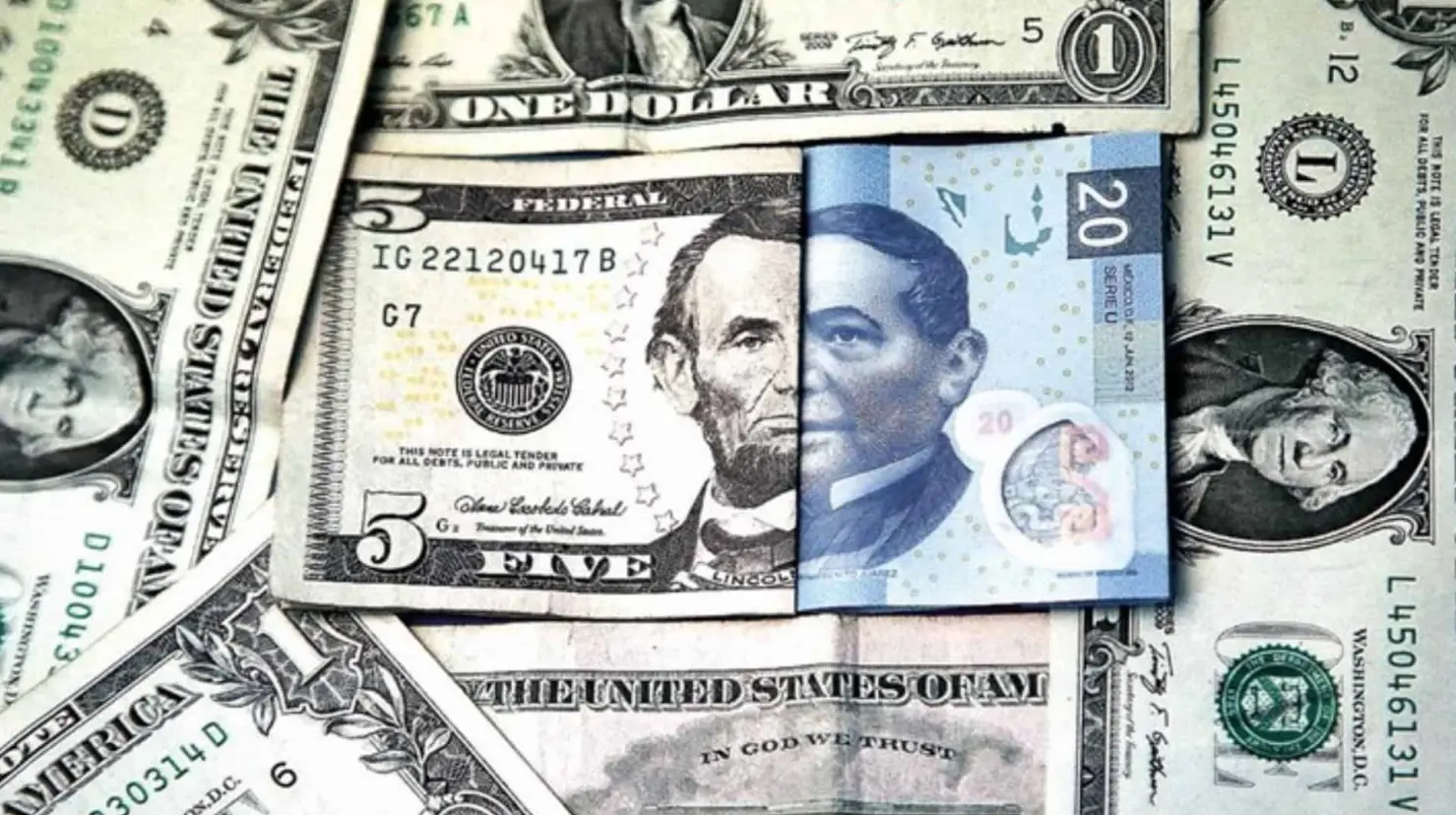 Precio del dólar hoy domingo 4 de febrero; este es su tipo de cambio