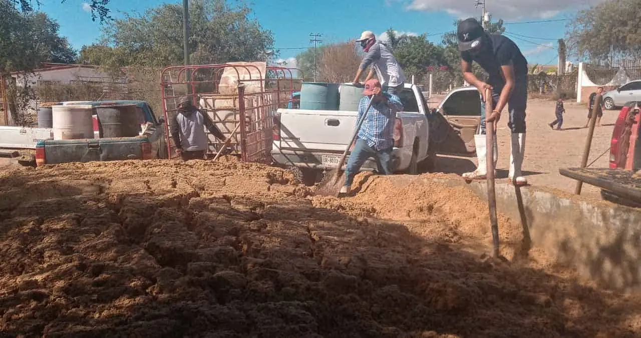 Apoyan con bagazo a ganaderos de Navojoa