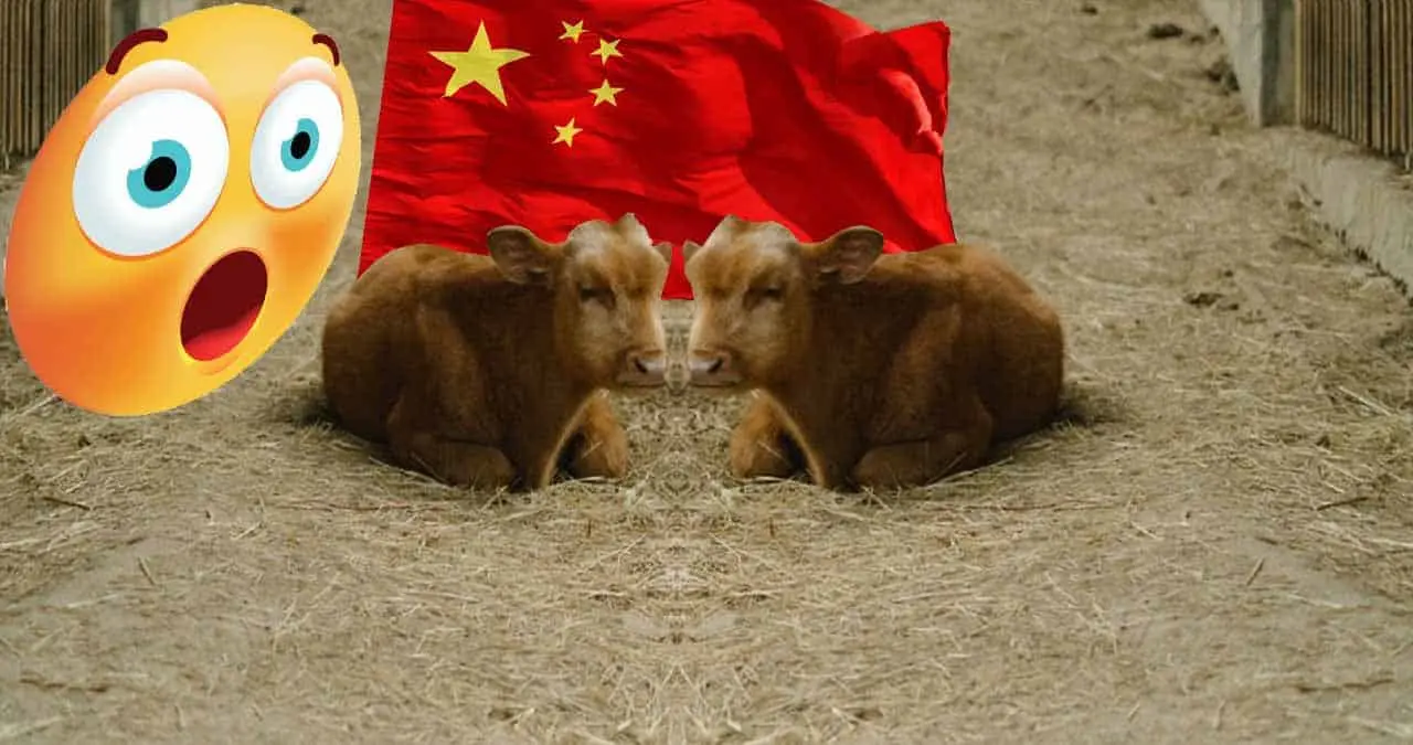 China realiza con éxito clonación de animales en peligro de extinción