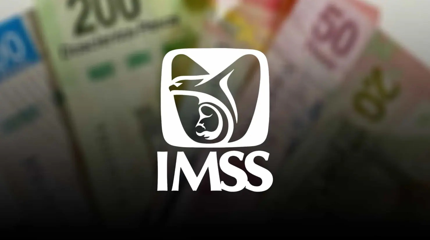 Pensión IMSS: ¿Cuáles son los casos en los que no conviene pagar la Modalidad 40?