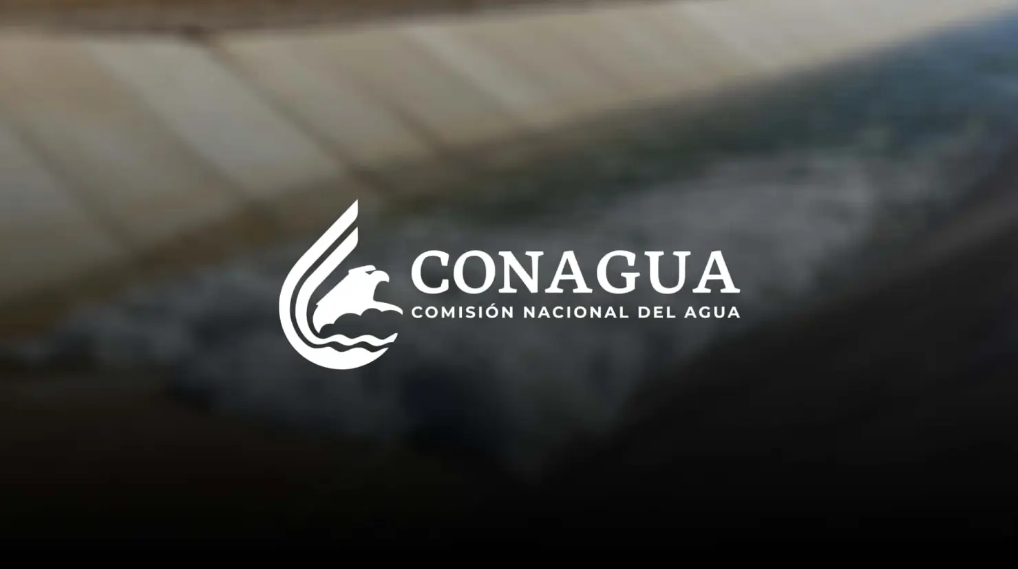 Semana Santa: ¿Por qué Conagua no recomienda nadar en lagos, ríos o presas?