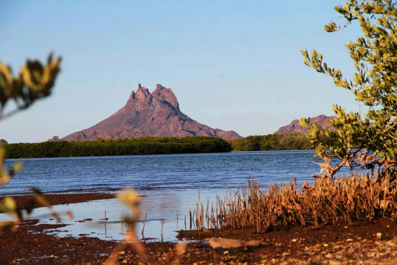 Foto: Secretaría de Medio Ambiente y Recursos Naturales