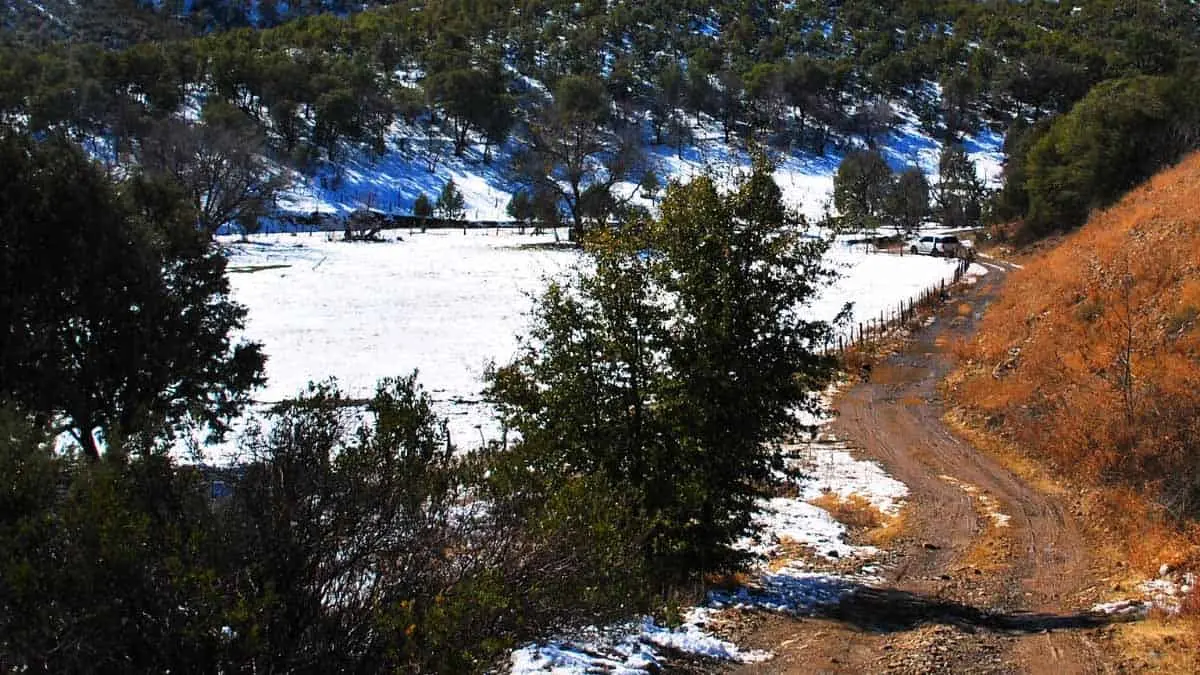 Clima en Sonora: Lluvias y nevadas se esperan en la entidad