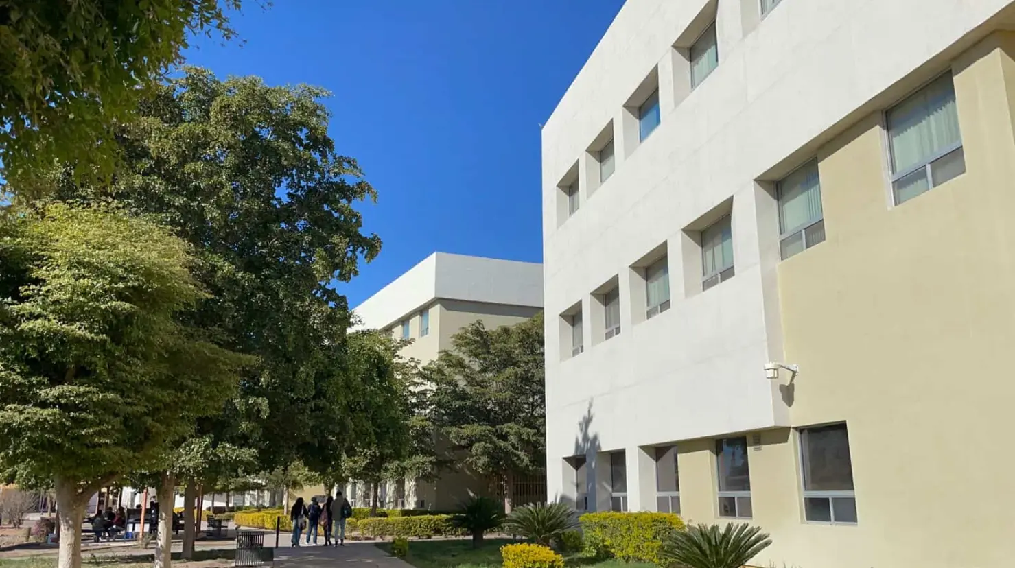 Staus Cajeme presenta propuestas