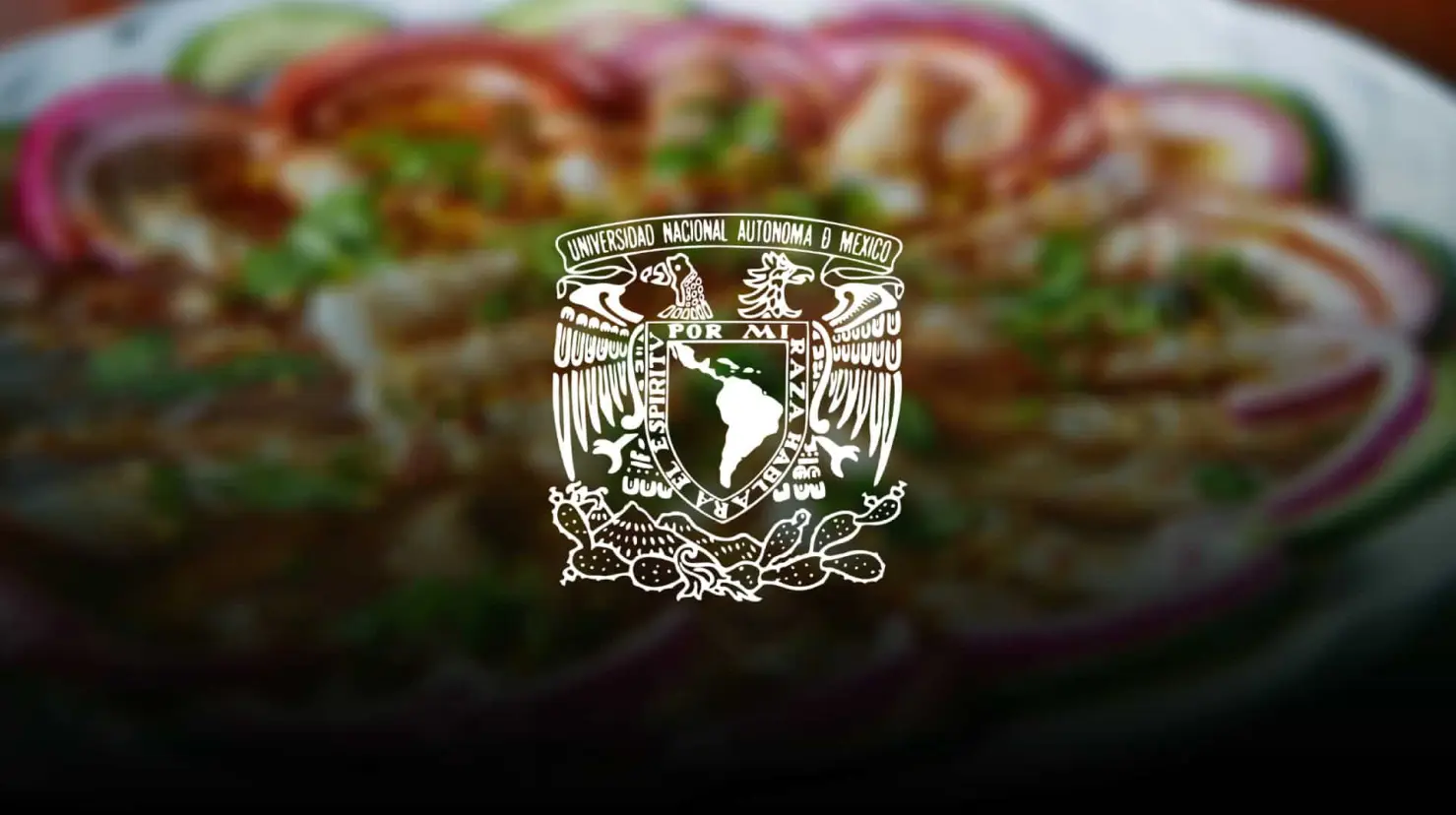 La UNAM no recomienda comer estos alimentos durante la temporada de calor