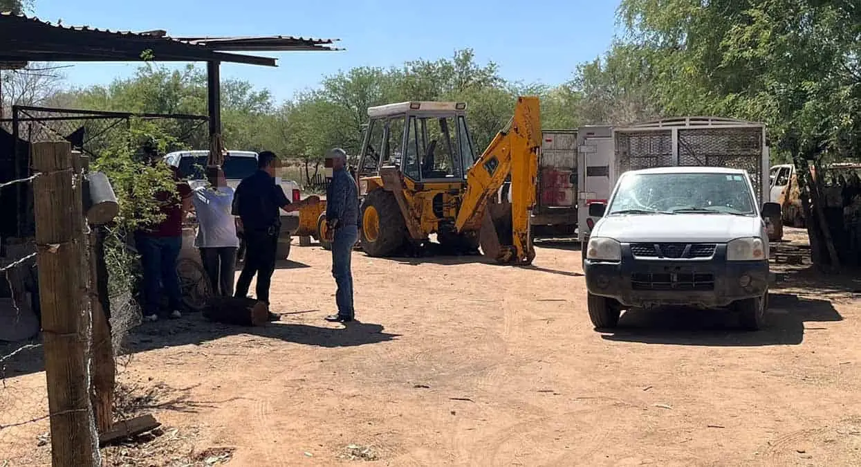 Fiscalía investiga muerte de animales en Hermosillo