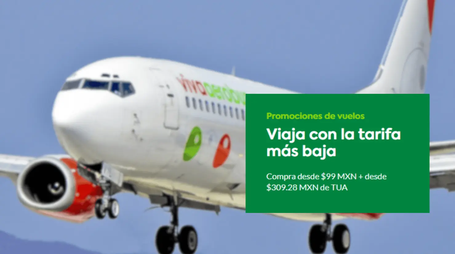 Foto: Tomás Del Coro / Viva Aerobus