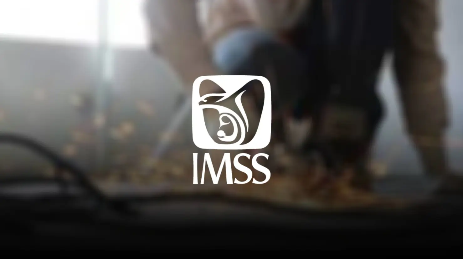 Estos son los trabajos con más accidentes laborales en México en 2024, según el IMSS