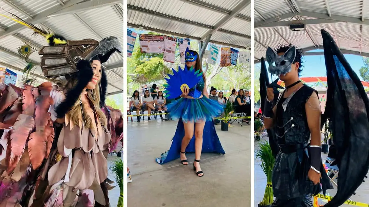 Diseñan alumnos de Cobach disfraces con material reciclado