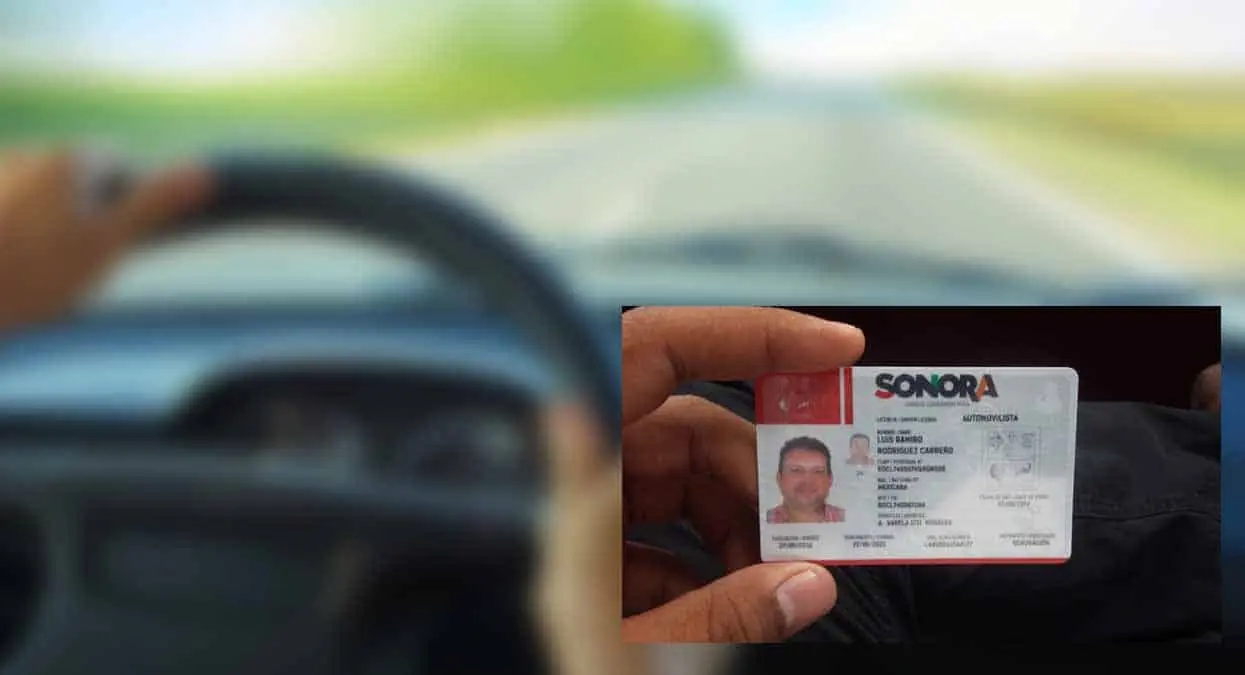 ¿Se puede tramitar la licencia de conducir permanente en Sonora? Esto sabemos