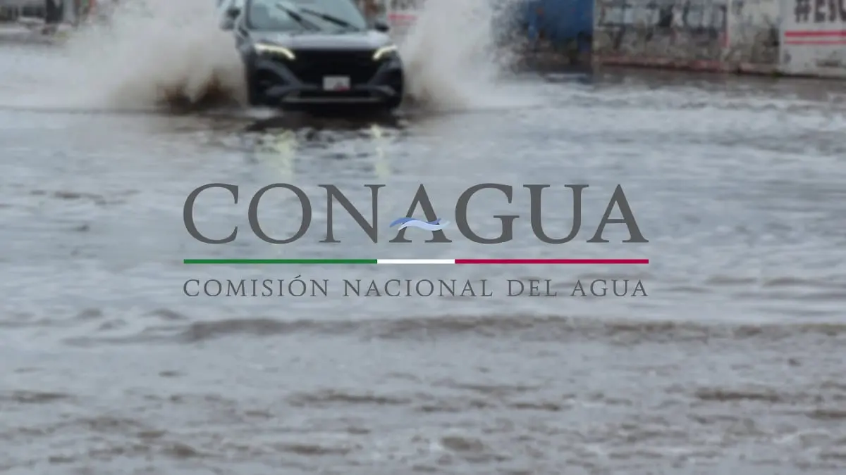 FOTO: BERNARDO HIDALGO/DIARIO DEL YAQUI
