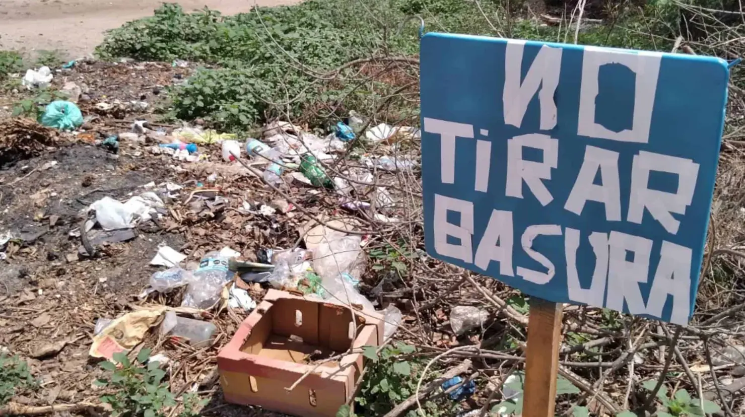Basureros clandestinos dañan el medio ambiente