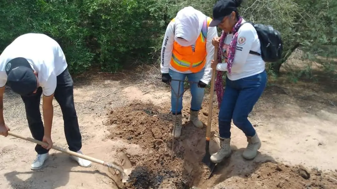 Madres Buscadoras de Huatabampo encuentran restos humanos en Etchojoa