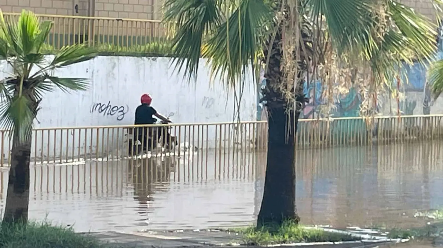 Fotos: Bernardo Hidalgo