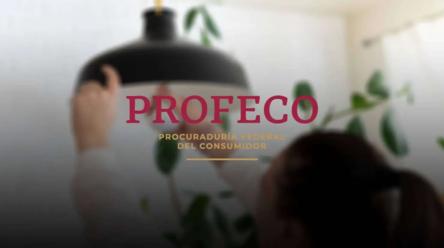 ¿Cuáles son los focos que te harán ahorrar en el recibo de luz, según Profeco?