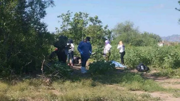 Fiscalía de Sonora llama a familias de desaparecidos identificar prendas y pertenencias halladas en San José de Guaymas