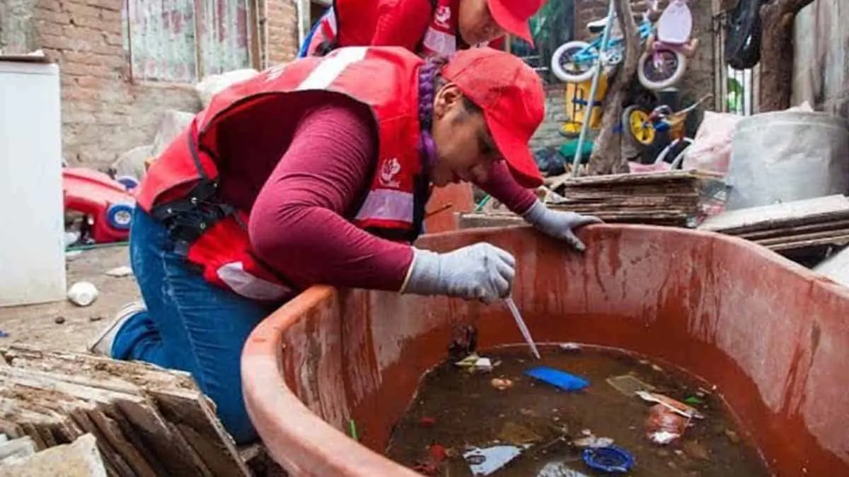 Secretaría de Salud de Sonora: ¿cuántos casos de dengue se han presentado en 2024?