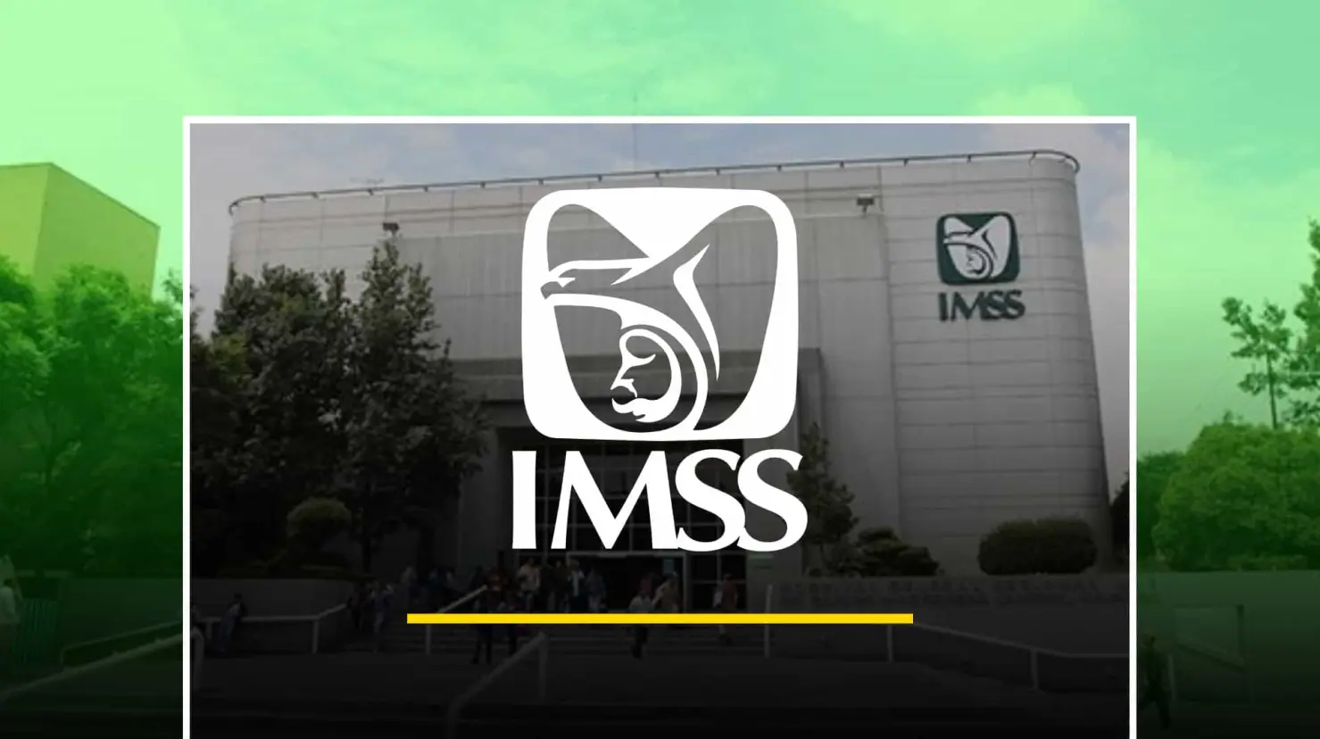 IMSS: Estos son los requisitos que te piden para darte de alta en 2024