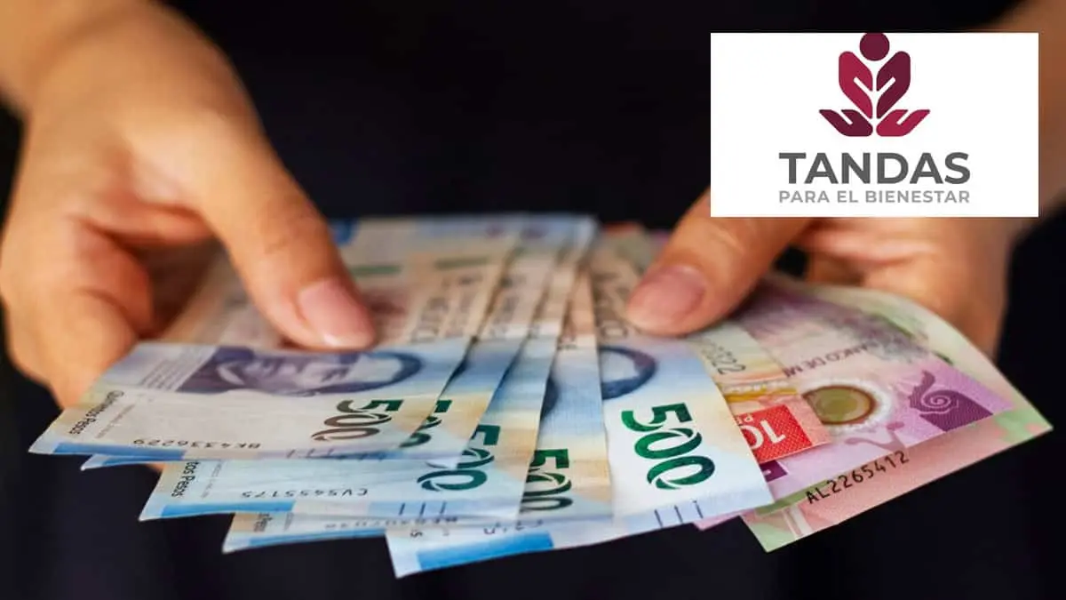 Tandas del Bienestar 2024: Ten cuidado y no caigas en este fraude que pocos conocen