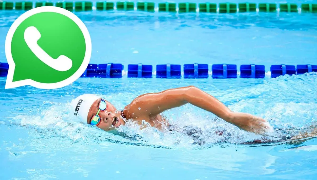 Activa así el modo Juegos Olímpicos en WhatsApp | Pexels / PNGWING