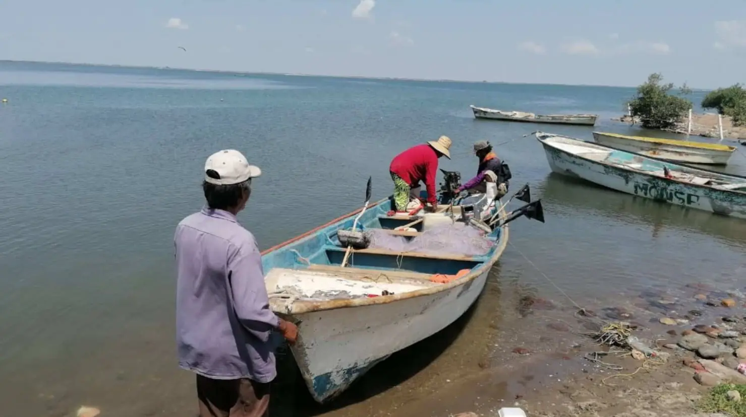 Migran pescadores por baja captura de jaiba