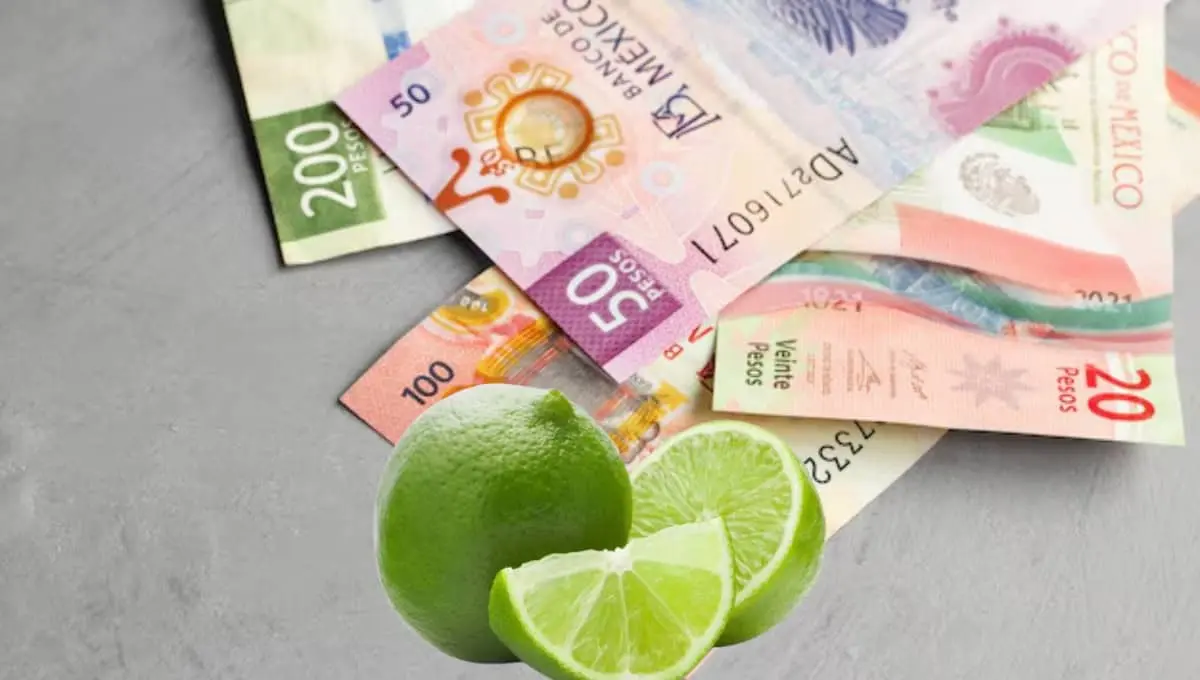Precio del limón sube en estos estados; conoce sus nuevos costos