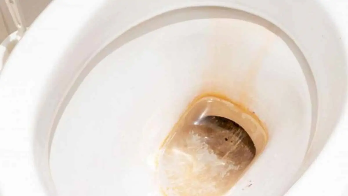 Dile adiós a las manchas de sarro de tu taza de baño con estos ingredientes caseros