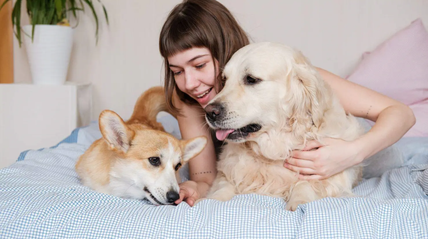 Los perros mejoran la salud mental femenina, revela estudio de Harvard