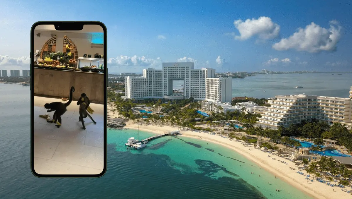 Vacaciones en Quintana Roo. Fuente: Pexels/Mylo Kaye, Tiktok: @realestatewcaro