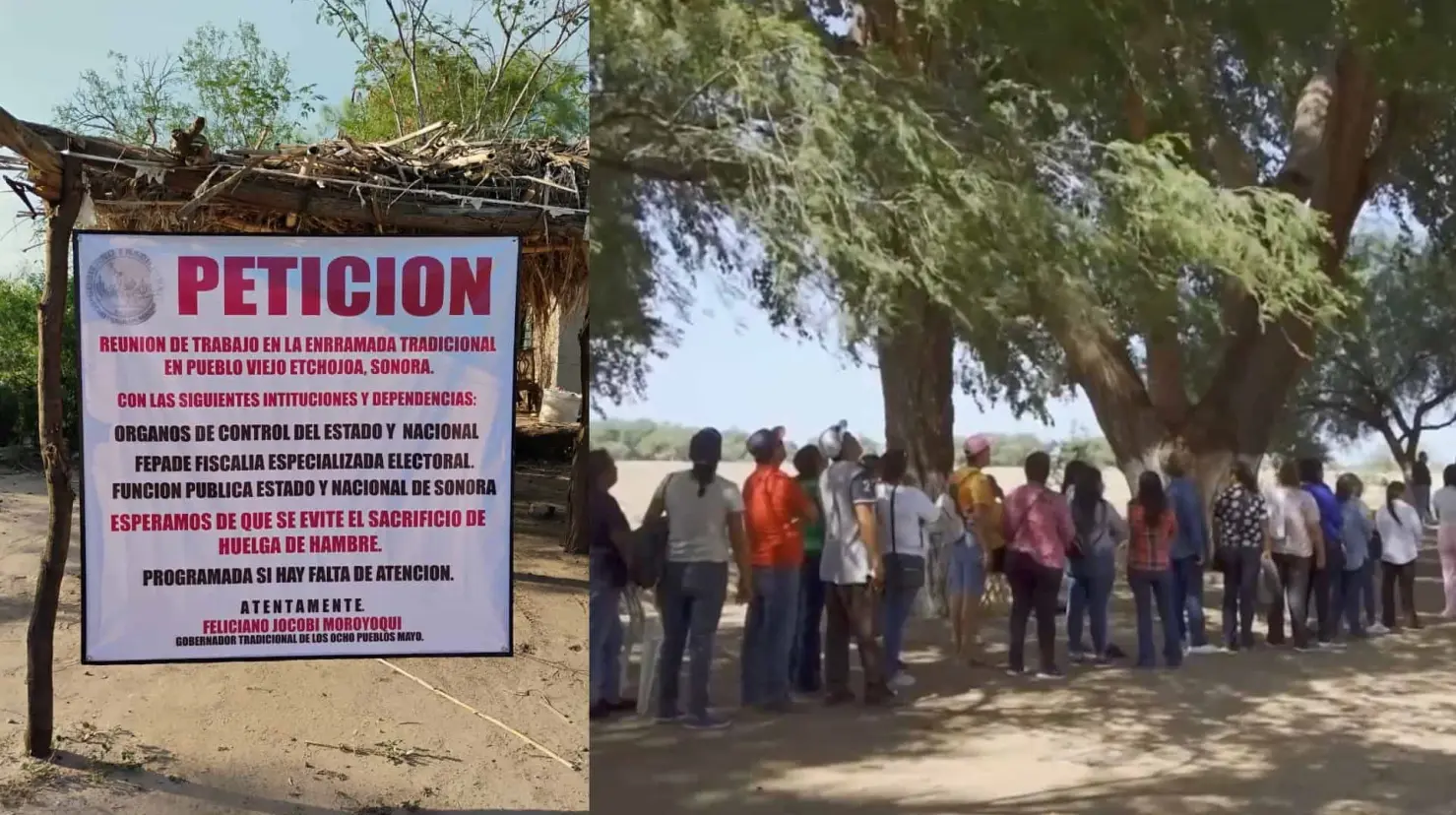 Van con todo en impugnación de regidor étnico de Etchojoa