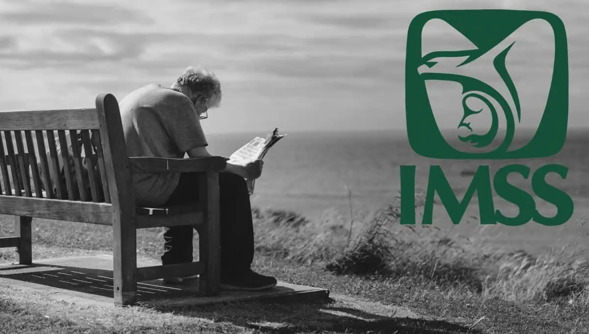 ¿Por qué la Pensión IMSS no entregará el pago el 1 de septiembre? | Pexels / PNGWING