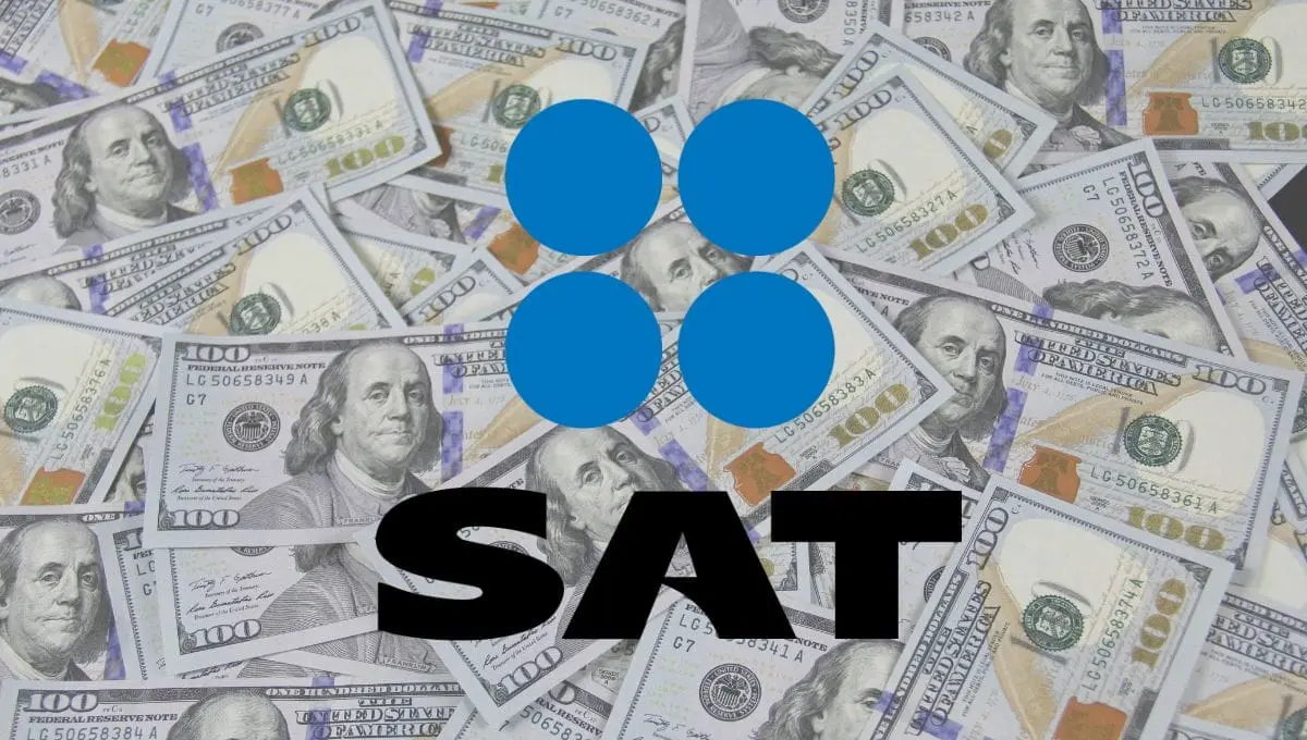 ¿Puedes perder el dinero de tus cuentas bancarias por culpa del SAT? | Pexels / PNGWING