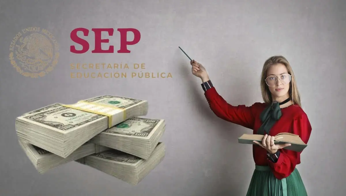 SEP: Conoce el sueldo de los profesores en el ciclo escolar 2024 - 2025 | Pexels / PNGWING