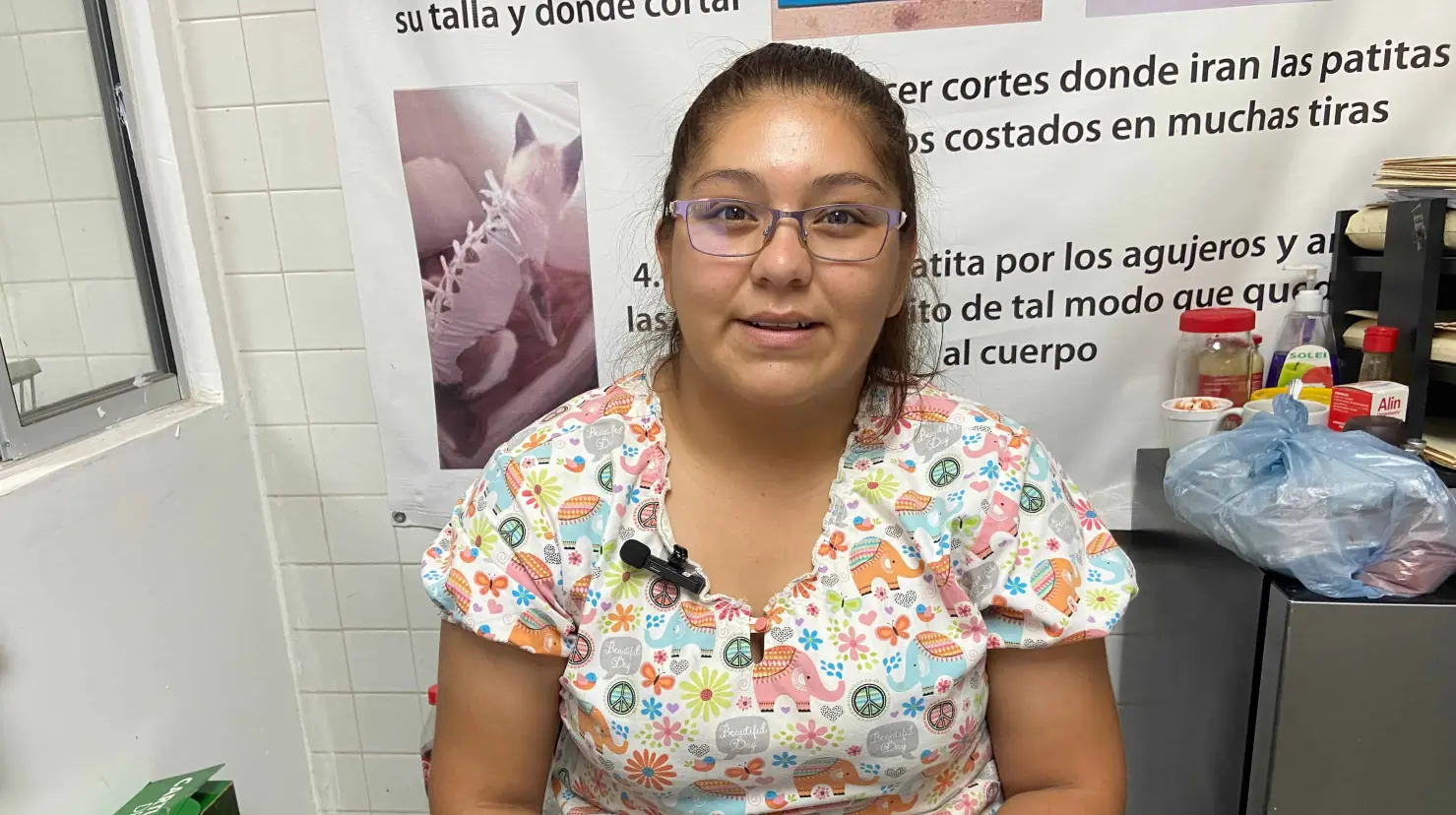 Maltrato animal: Centro de Atención en Navojoa ha recibido hasta 300 denuncias