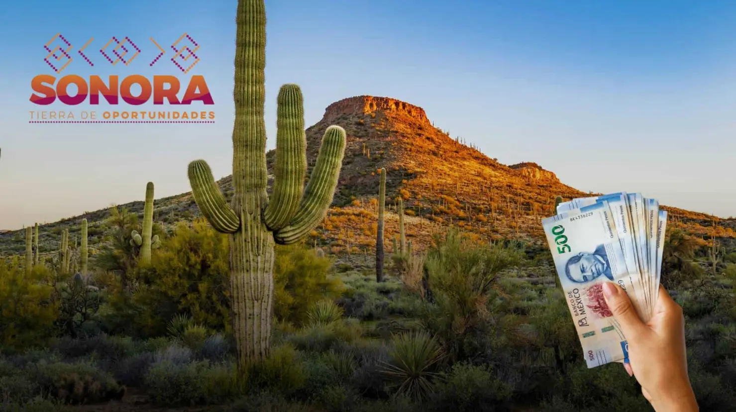 ¿En qué lugar está Sonora entre los estados más ricos de México?